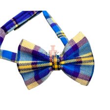 Tartan Bow Tie